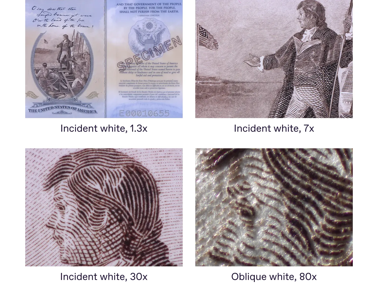 intaglio printing visualization